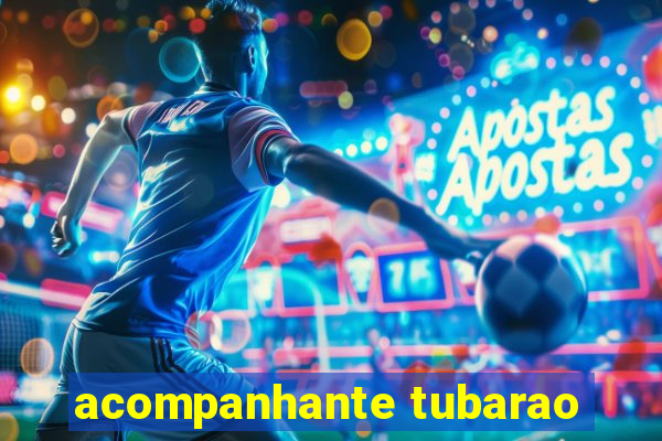 acompanhante tubarao